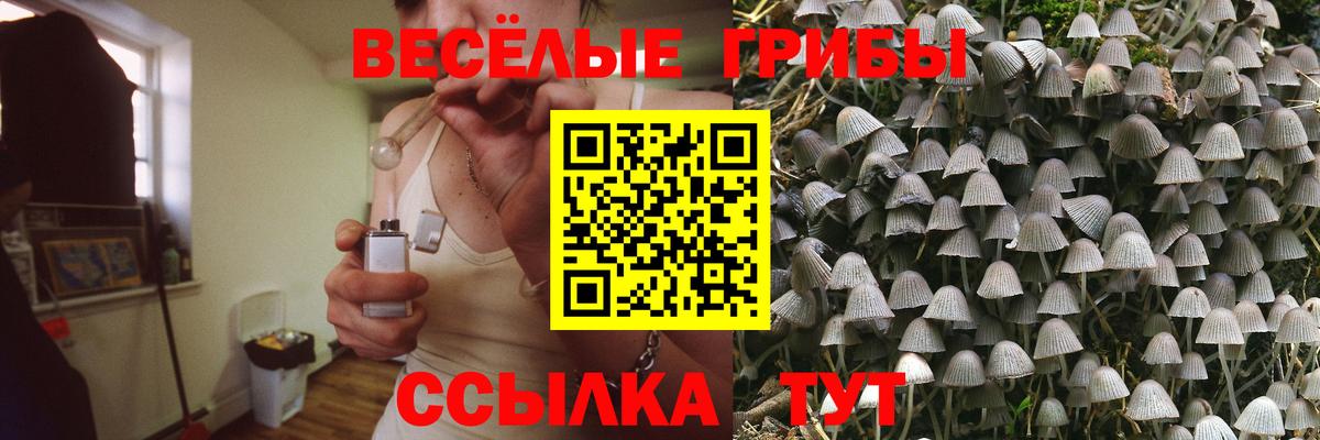 Реж  Галлюциногенные грибы Cubensis  Вход с VPN 